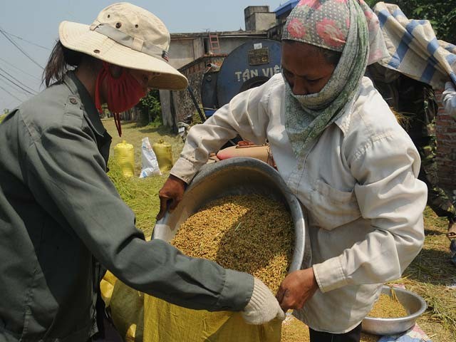 La protection sociale et la sécurité alimentaire dans la réduction de la pauvreté - ảnh 1